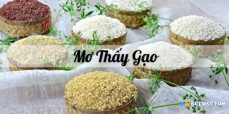 Giải mã ý nghĩa của Mơ thấy gạo về những điều may Giải mã ý nghĩa của Mơ thấy gạo về những điều may