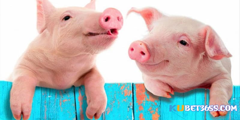 Tuy nhiên nhiều trường hợp chiêm bao thấy lợn đẻ nhưng lại là điềm gở Tuy nhiên nhiều trường hợp chiêm bao thấy lợn đẻ nhưng lại là điềm gở